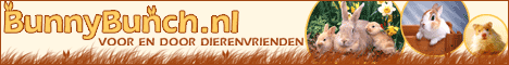 Allerlei informatie over konijnen